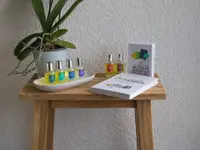 EvolutionKey Trachsel