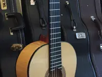 Guitarrista