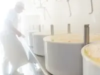 Jérôme Raemy, Fromagerie