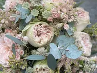 Blumen La Violetta