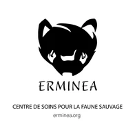 Logo Erminea