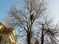 Scheuner Gartenbau AG