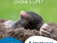 Vogt Ernst AG