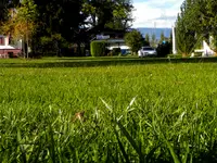 Camping de Chevroux