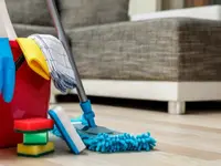 Deluxis Services