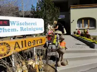 Allegra Textilreinigung AG - Klicken Sie, um das Bild 2 in einer Lightbox vergrössert darzustellen