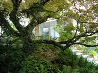 Riggenbach GmbH Garten und Landschaft