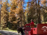 Clalüna-Sils Kutschenfahrten