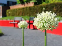 Käser Gartenbau AG