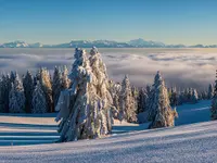 Schweiz. Patenschaft f. Berggemeinden - Klicken Sie, um das Bild 1 in einer Lightbox vergrössert darzustellen