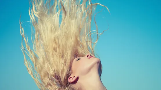 Vom Winde verweht. Haare sind während den Sommermonaten besonders gefährdet. - Vom Winde verweht. Haare sind während den Sommermonaten besonders gefährdet.