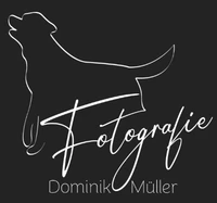 Dominik Müller Fotografie-Logo