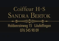 Coiffeur H-S-Logo