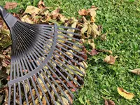 DZ Hauswartung und Gartenunterhalt