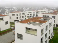 Dach- + Thermobau AG