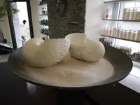 HAARTISTIGO