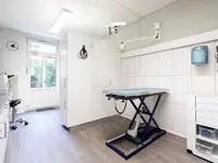 Kleintierpraxis 54