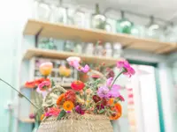 Blumen Gardyland