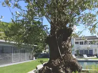 Jardin SA