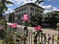 ParkSideClinic l Dr. Frank Pleus