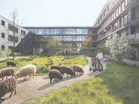 Stiftung Hofmatt