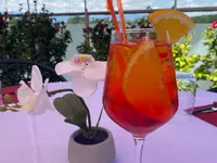 La Coccinelle