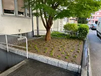 Gunzenhauser Gartenbau GmbH