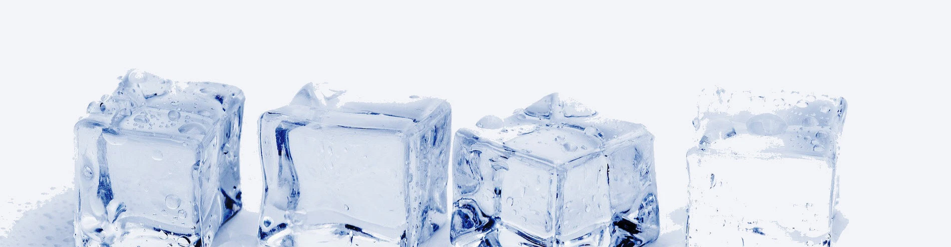 Bühlmann Kühlanlagen AG