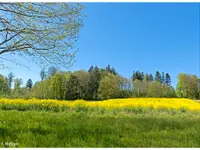 Gemeindeschreiberei Einwohnerkontrolle Kallnach - Klicken Sie, um das Bild 12 in einer Lightbox vergrössert darzustellen