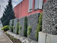 Kummer Gartenbau - Pflanzenoase