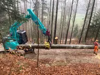 Gast & Landwirtschaft Guldenthal