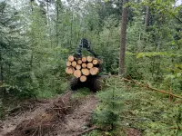 Forstunternehmung Jahn Rüegg