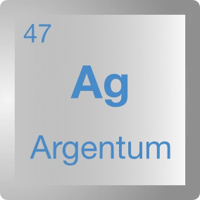 Argentum Software Sagl (spitex software)