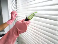 Ecofox Clean Home Services