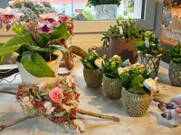 Blumen und Pflanzen