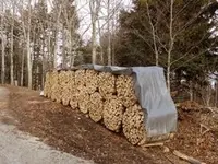 Chenuz bois de feu Sàrl