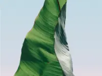 PureClean Delgado Ponce