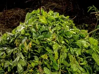 Schnider AG Transporte Recycling