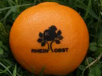 Rheinobst Genossenschaft