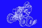 Sport-Service