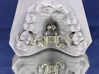 Orthodontic Lab