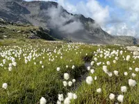 Ristoro Alpino La Fürbeda - Klicken Sie, um das Bild 7 in einer Lightbox vergrössert darzustellen