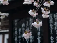 Nippon Food GmbH / Japanischer Delikatessen Online Shop