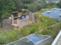 Haefeli Gartenbau GmbH