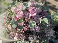 Blumen La Violetta
