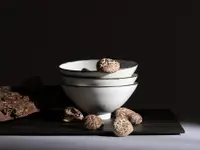 Nippon Food GmbH / Japanischer Delikatessen Online Shop