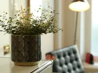 Swiss Dental Healthcare