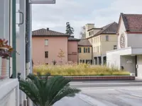 Institut Venezia