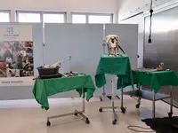 Tierklinik Leimental - cliccare per ingrandire l’immagine 1 in una lightbox