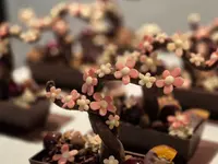 VK Chocolaterie Sàrl